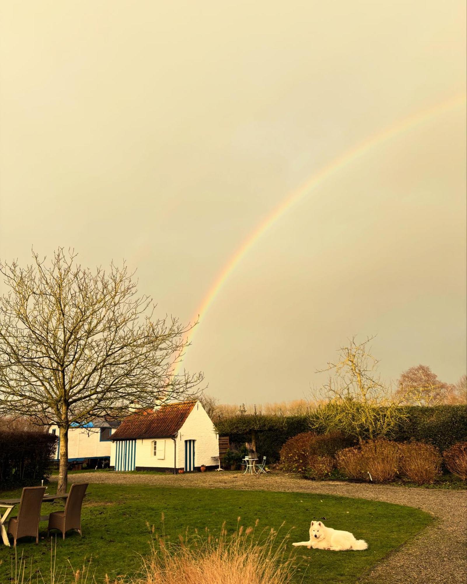 Hamiora Wellness B&B Deinze Buitenkant foto